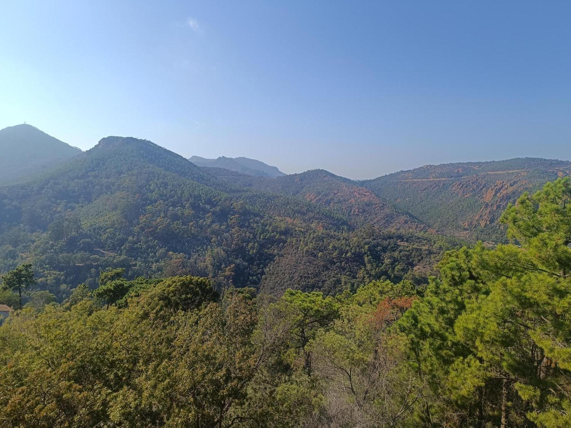 Théoule-sur-Mer Magnifique Vue Mer Et Piscine - Les Cles De L Esterel מראה חיצוני תמונה