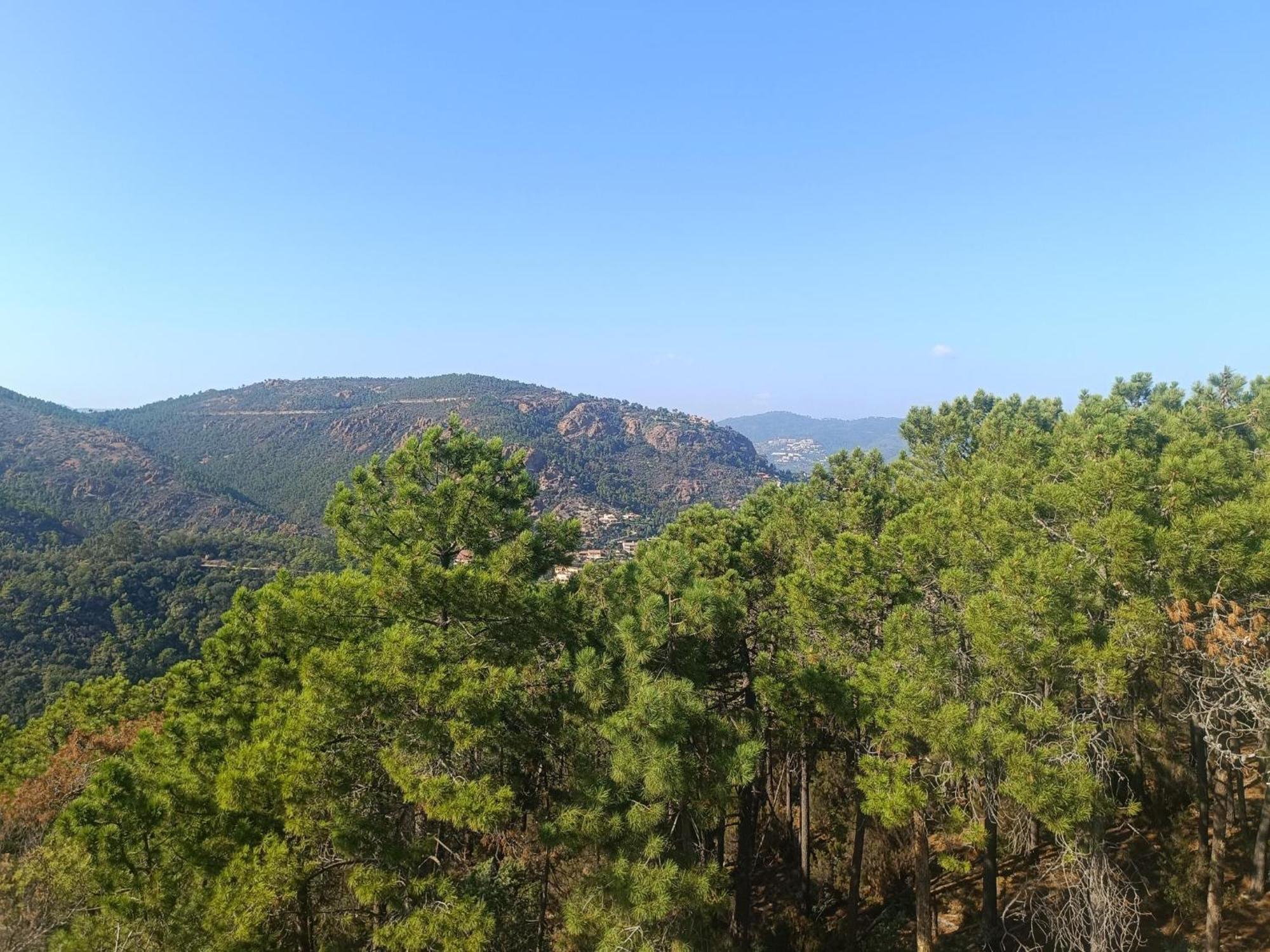 Théoule-sur-Mer Magnifique Vue Mer Et Piscine - Les Cles De L Esterel מראה חיצוני תמונה